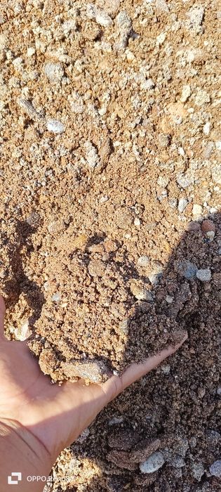 Шағал майда.  Шебін 08