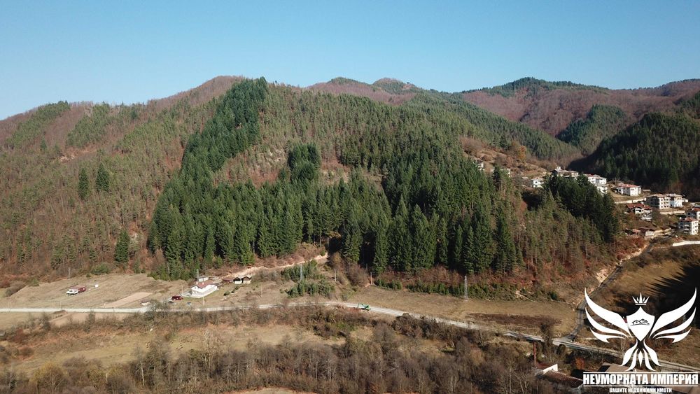 Продава се Парцел в с. Елховец, Област Смолян - 11000 кв.м за 2 €/кв.м - Снимка #17