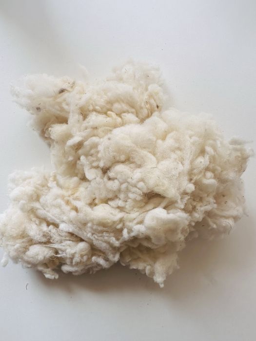 Lână Merinos 24–26 Microni – Albă și Mix Natural | Pentru Fire, Tricotat, Pilote și Produse Premium