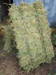 Бали слама. За декорации, украса, мулчиране