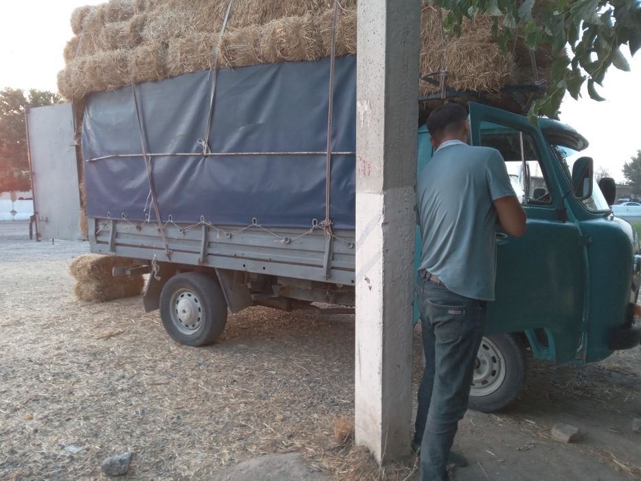 УАЗ 33 03          1990 ЙИЛ