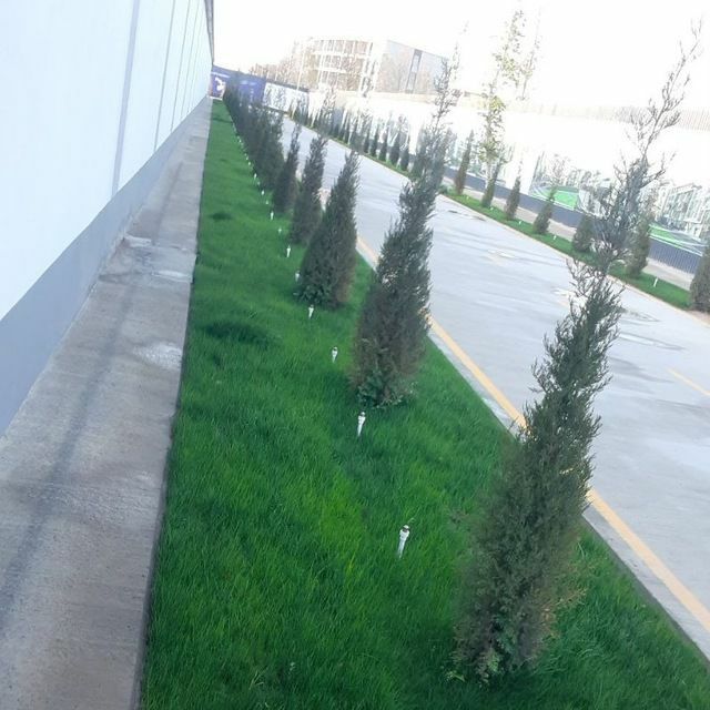 Сантехник/Электрик Газон Ландшафт Полив