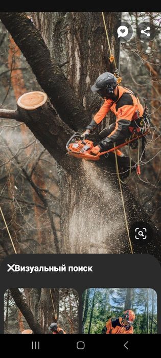 Дерева спил драва резка сандал чурка карагаш  төс