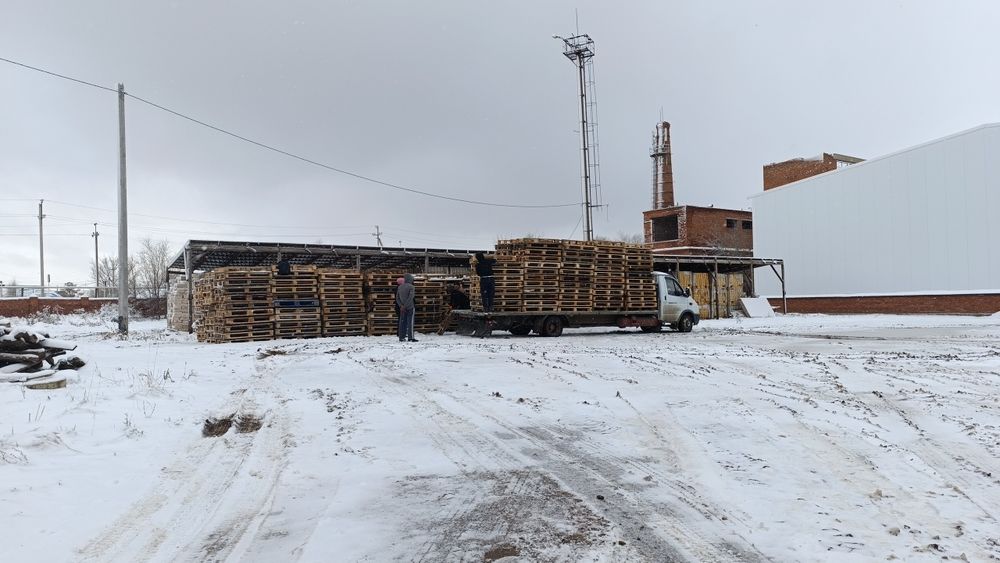 Продам поддоны дешево 1500