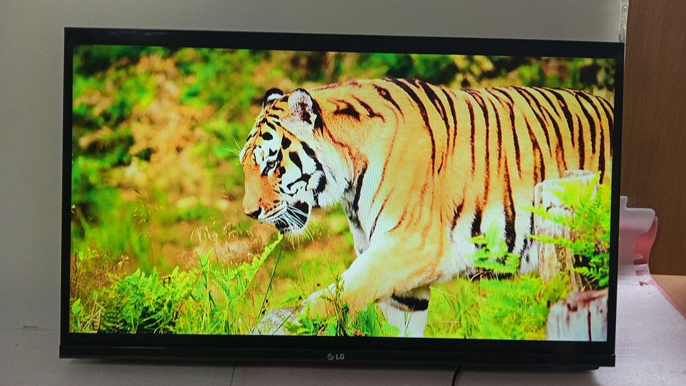 Телевизор televizor