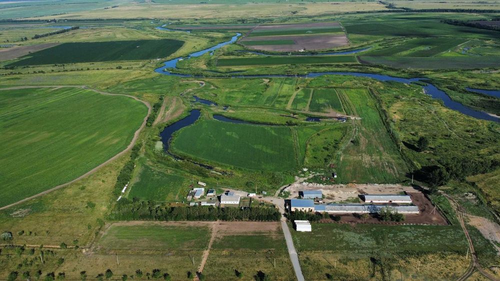 Продажа производства