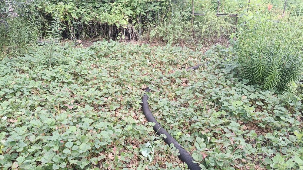 Продам дачу 16соток, город Алга 22 коллектив