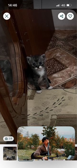 Марғау       мальчик