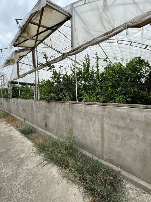 Недвижимость Политотдел