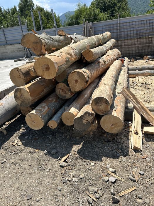 Vand lemn foc direct din depozit , fara intermediari