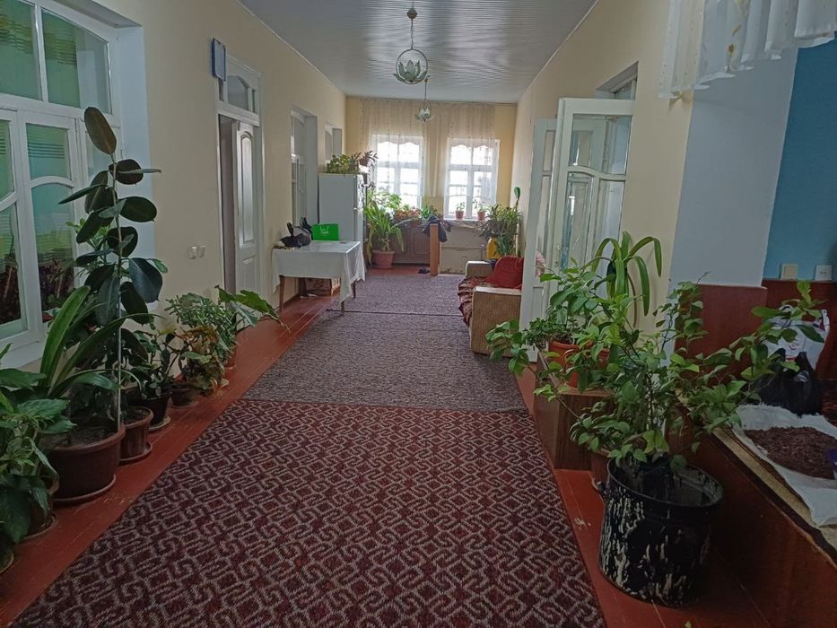 продаётся свой дом(участок) в чирчике