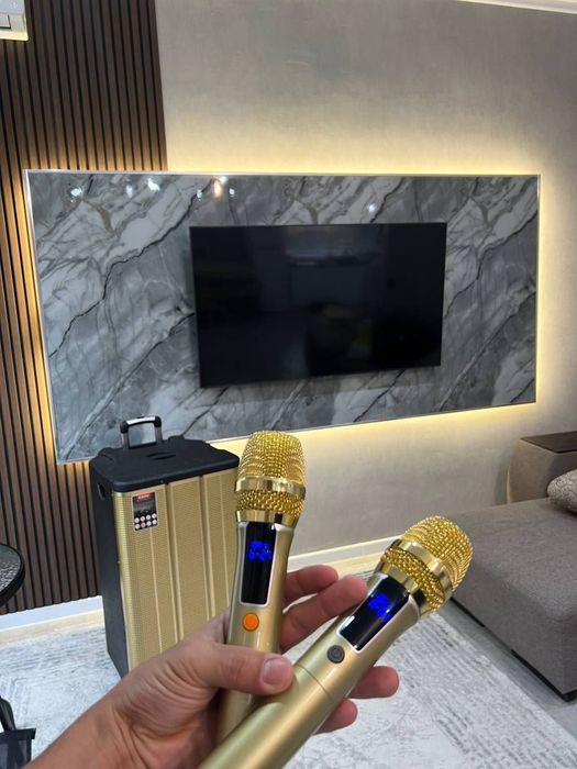 Аренда караоке калонка