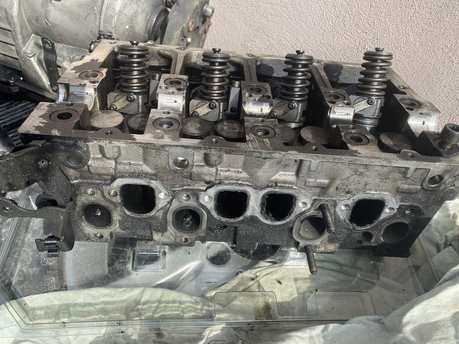 Chiuloasa 1.9 BLS