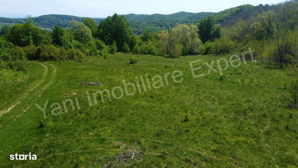 Teren 19.452 mp de vânzare în Curtea de Argeș.
