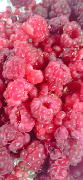 Продам дачу в хорошем месте рядом озеро