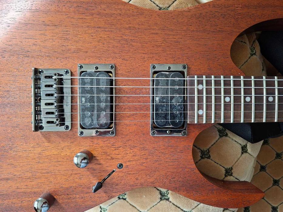 Електрическа китара "Ibanez", RG-421 и Ел. китара Jay Turser (Fender Telecaster Style)