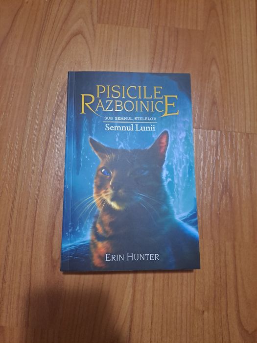 Pisicile războinice vol 22