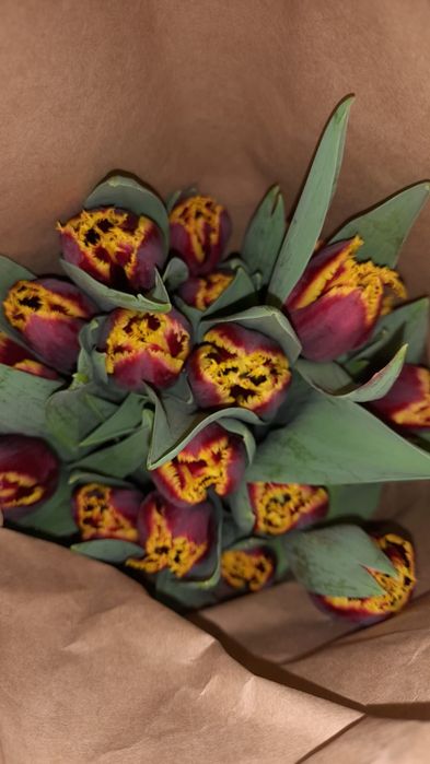 Тюлпаны свежие с луковицами оптом 24/7