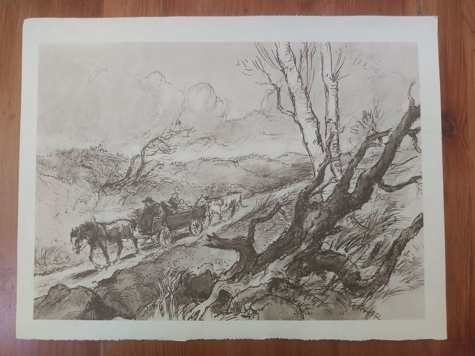 11 LUCRĂRI RARE - 1946-1948 - Incredibile
