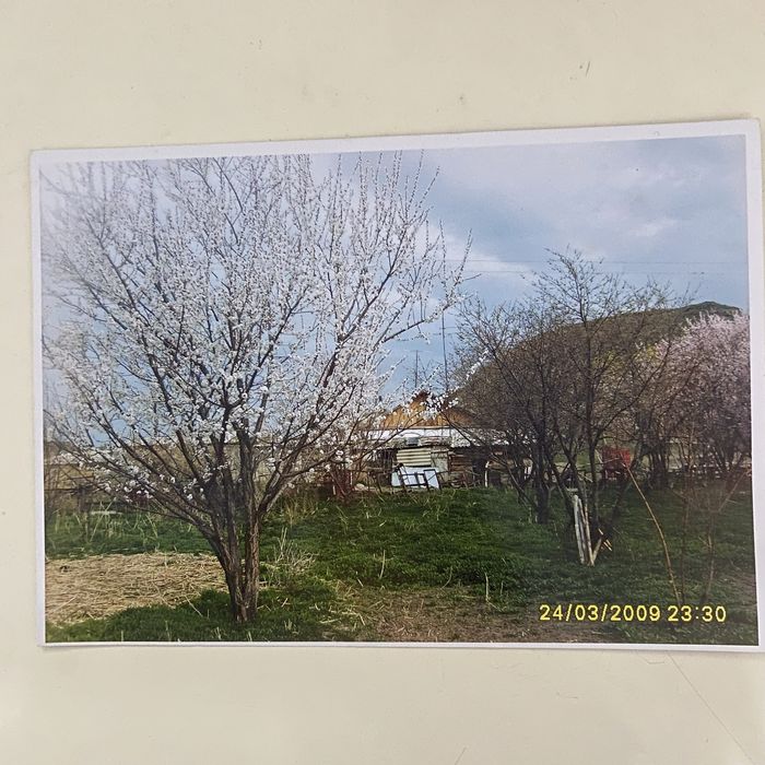 Продам пастбищные земли