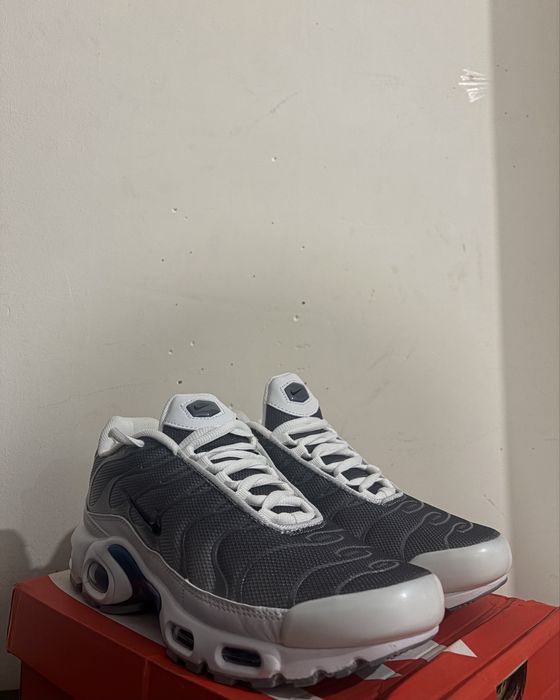 the Nike Air Max Plus Sail Grey- 41,43,44