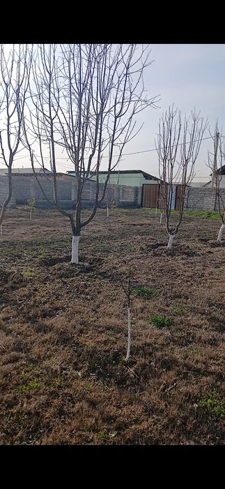 Продаётся земля 4сотки в сырдарьинском районе