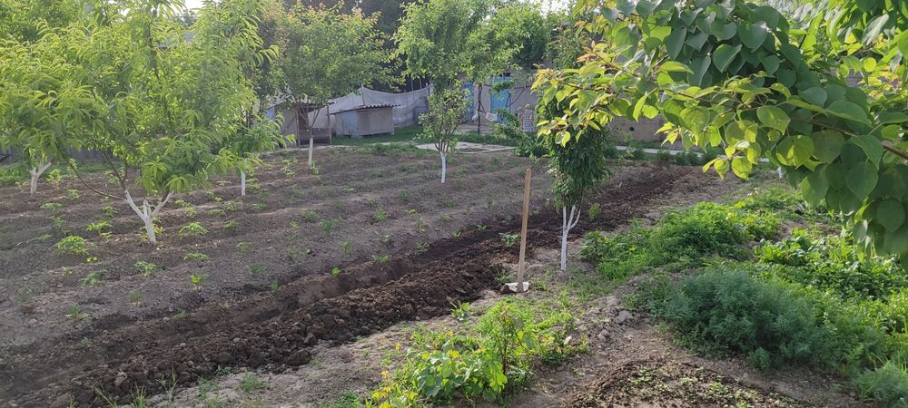 Uchaska 5 sotix srochna sotiladi