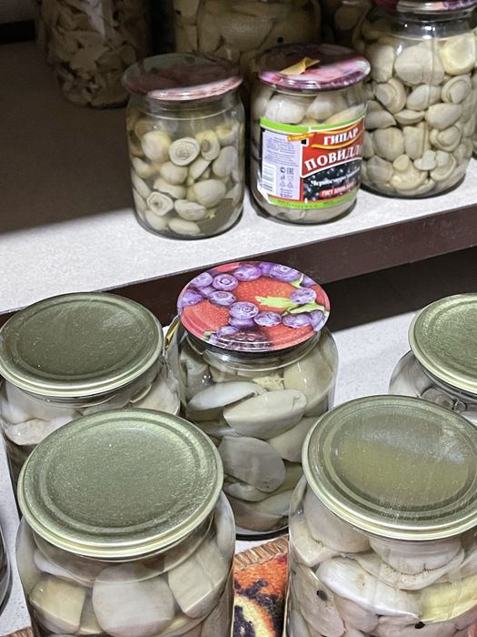 Мариновонные грибы