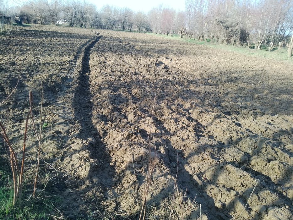 Бука мфй  Уй сотилади 5 хонали гараж бог