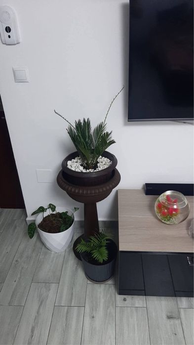 Vand Garsoniera