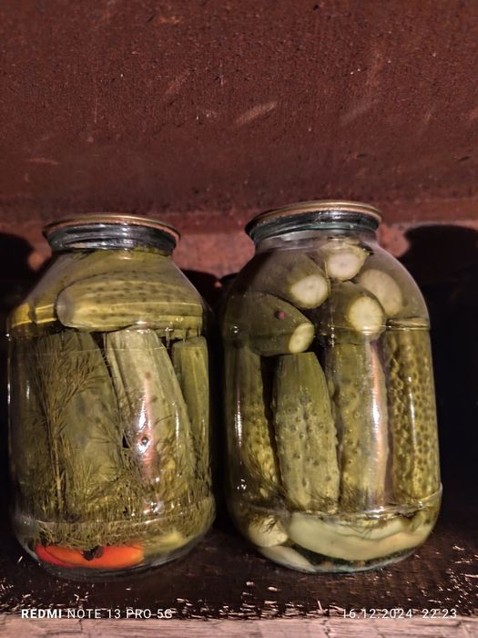 Продается солёные огурцы