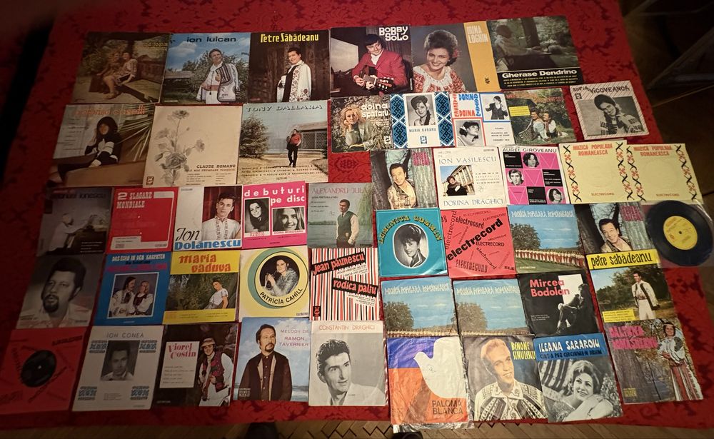 Discuri vinil de colectie