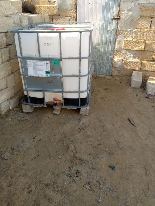 Тонник бүп бүтін