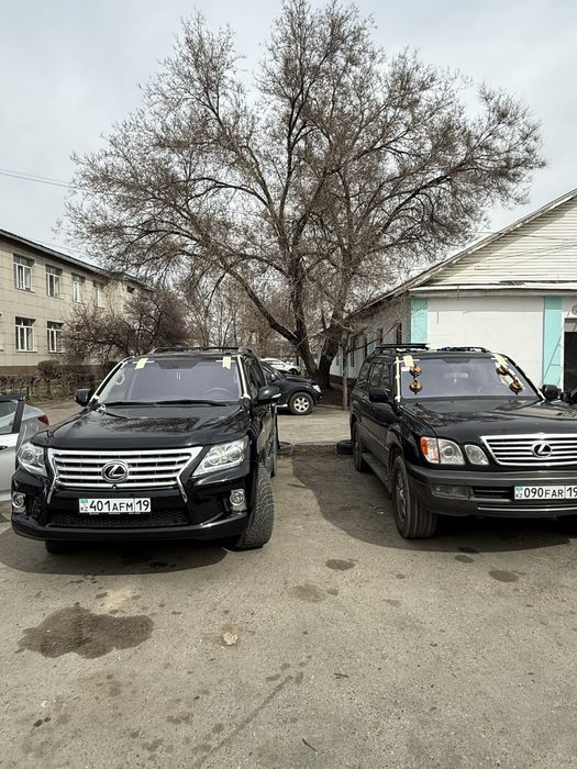 Установщик автостекла