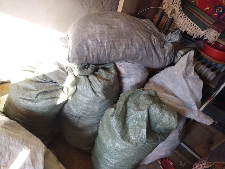 Қаткан нан малга беруге