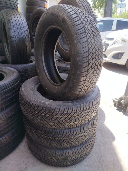 14 yolka yengi balon yangi