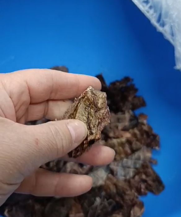 Лакомство для собак сушеное легкое