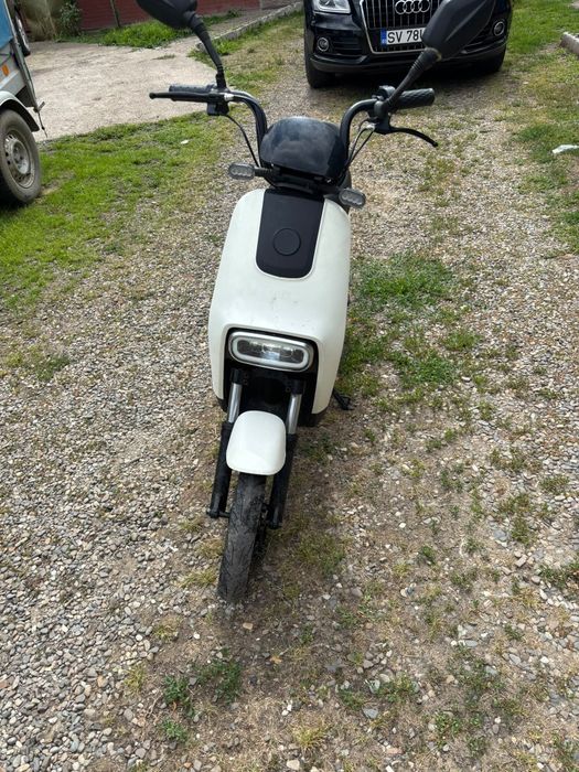 Se vinde tot ce se vede