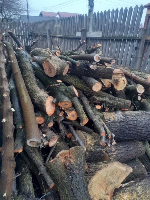 Lemne de foc agud 300 lei metru