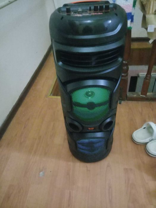 Калонка музыкальная