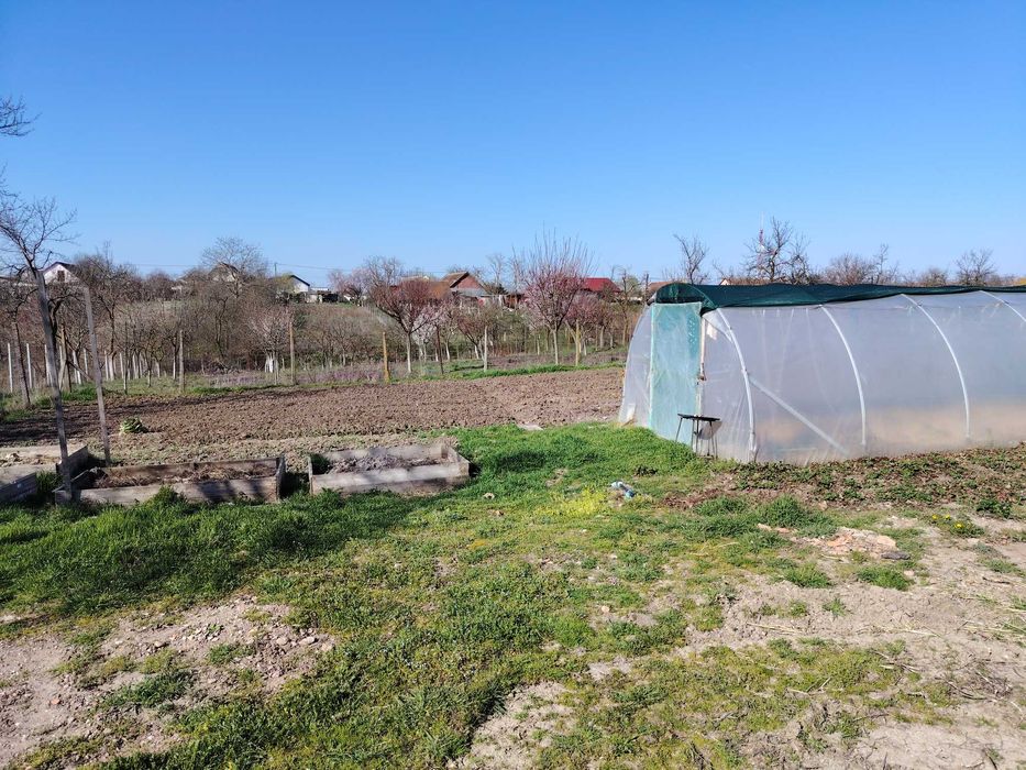 Vand casa in satul Ianova, la 20 km de Timisoara