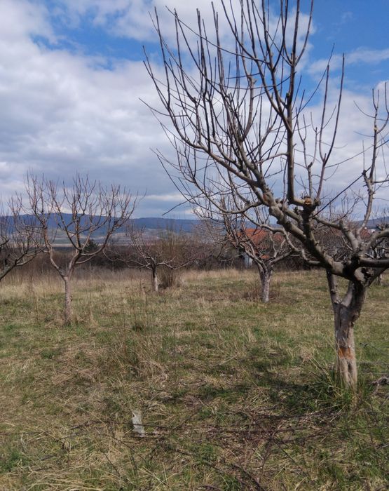 Продава парцел в гр.Сапарева баня