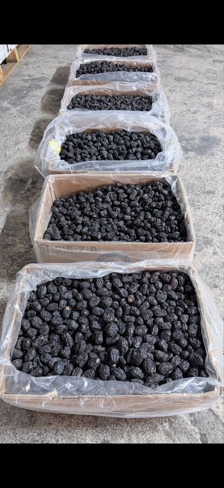 Финики, Саудия, оптом и в розницу