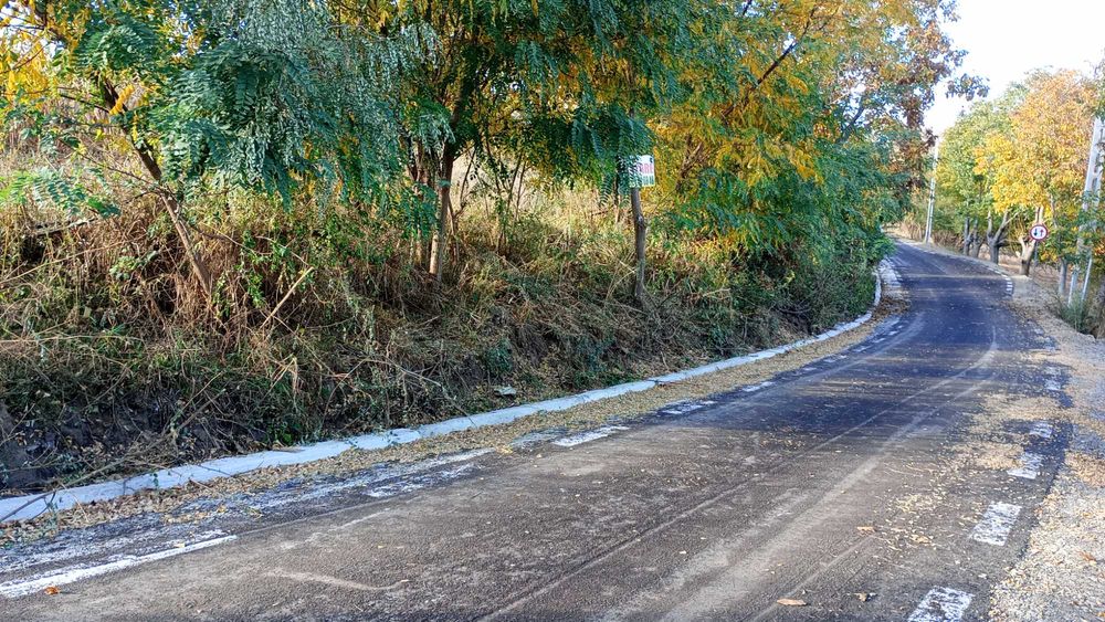 Teren de Vânzare 25 Ari Zonă Verde, Linistită  Drum Asfaltat, Lisaura