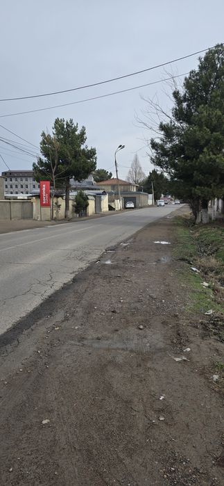 Селекция Сельхоз около дороги