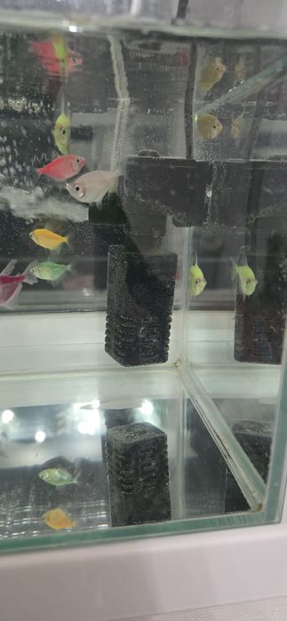 Аквариум с рыбками