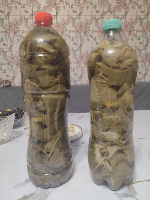Продам виноградные листья