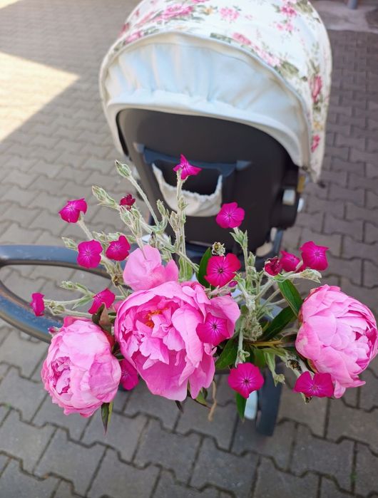 Cărucior Stoke personalizat