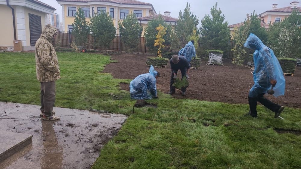 ОЗЕЛЕНЕНИЕ Профессионально