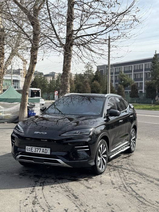 Byd champion 520km 2024 yil